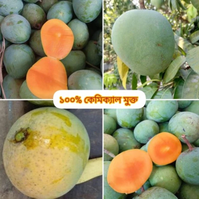 সাতক্ষীরার হিমসাগর আম